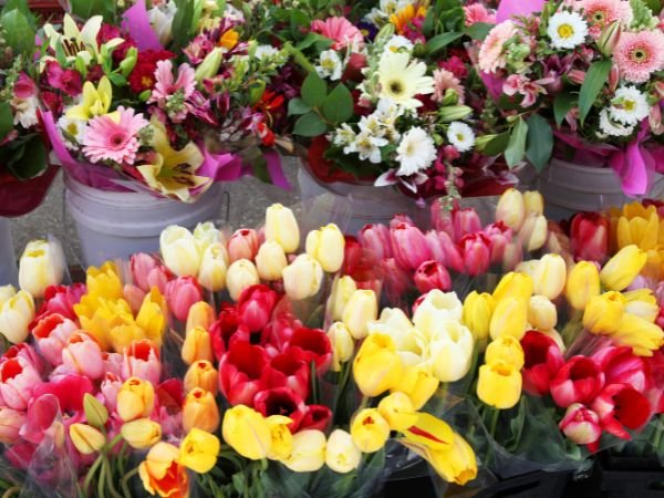 Ventajas del transporte refrigerado de flores_5256.jpg